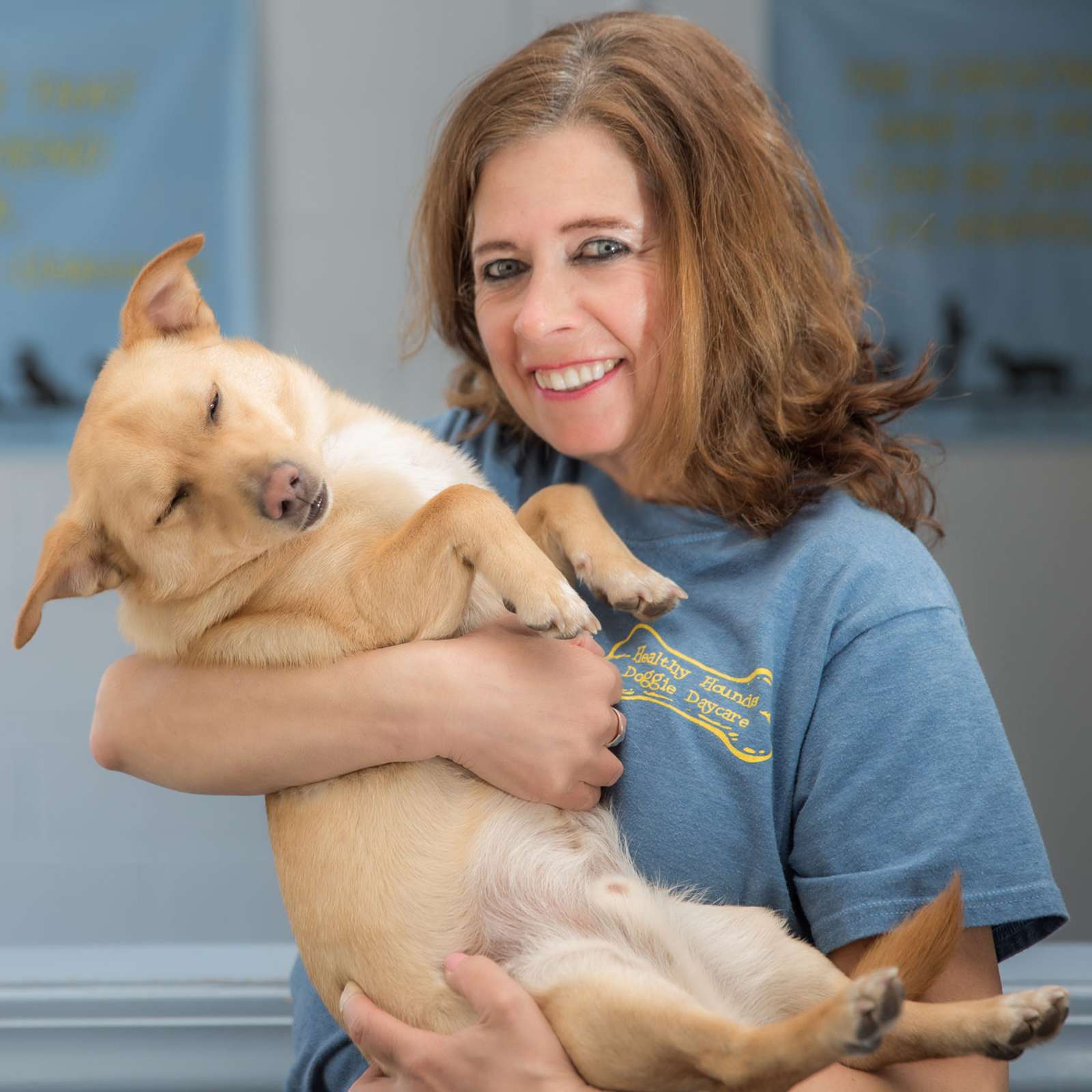 Playgroups, Dog Walking, Boarding Healthy Hounds Doggie Daycare